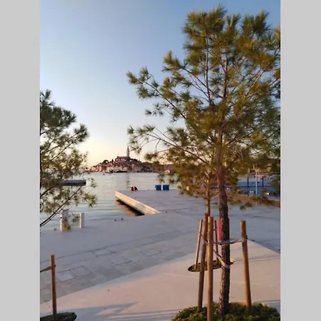 Apartment Sertic Nenad Rovinj